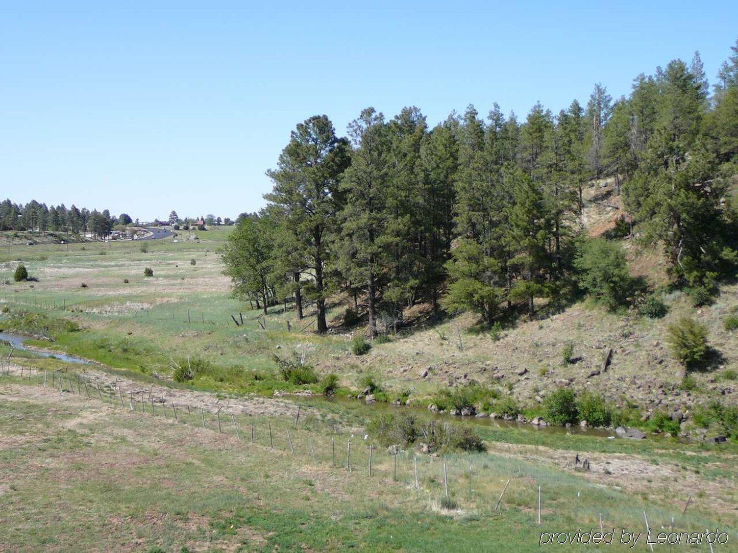Hampton Inn & Suites Show Low-Pinetop Eksteriør billede